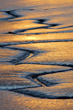 Mudflat Rivulets 2