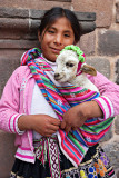Maria had a little Lamb