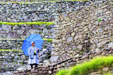 Blue Umbrella