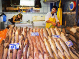 Fresh Fish