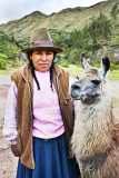 Lama glama + minder