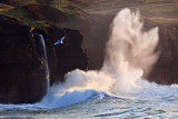 Atlantic Coast 5