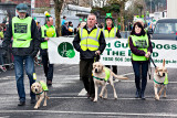 Irish Guide Dogs for the Blind