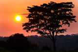 African Sunset