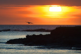 Atlantic Evening