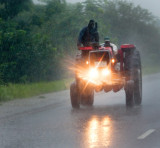 Tropical Downpour