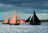 Galway Hookers Racing