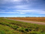 Prairie 9047817