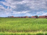 Prairies 1900