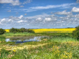 Prairie 1872