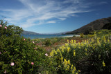 a Lakes around Queenstown 2.jpg