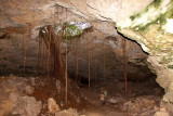 A bat cave in Mexico04.jpg