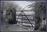  Ireland - Co.Sligo - Markree Castle grounds