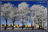 Ireland - Sligo - Ballytivnan - Christmas Eve 2010