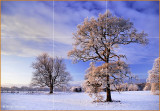 What is the Rule of Thirds