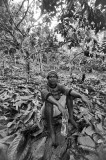 Cocoa Farmer Sulawesi