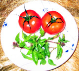 Organic Basils & Tomatos