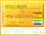 My Credit Card