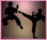 Pratice of Kung Fu and Taekwondo 
