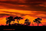 Prairie Sunset II