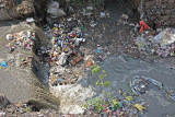River cleaning up urgently needed!