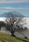 Late autumn in Seelisberg