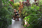 Balcony plants 2012