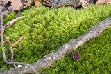 DSCN0174.jpg