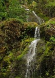 Closer View of Falls