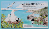 Red-footed Booby Sign