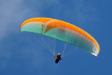 Under the Paraglider