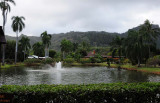 The Pond and Grounds