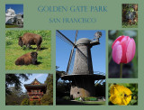 Golden Gate Park Collage