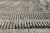 Dirt Patterns
