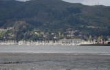 Sausalito Marina