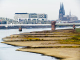 River Rhine Low Level in Cologne