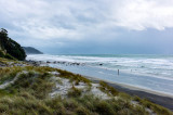 New Zealand, North Island, East Coast near Auckland