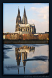 Cologne Cathedral Reflection