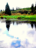 BOREAL WATER.JPG