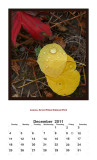 2011 Yellowstone Portrait Calendar