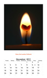 2011 Portrait Calendar