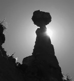 Rock Rays
