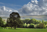 Pooley bridge walk