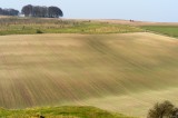 a Wiltshire landscape
