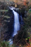 Birks of Aberfeldy