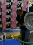 Fisherman in Pireus