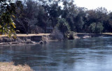 Okavango river at Shakawe Fishing Center