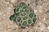 DSC_8932.jpg