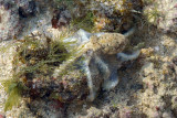 DSC_9325.jpg
