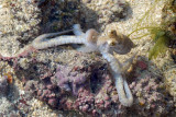 DSC_9327.jpg